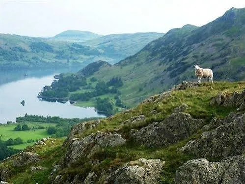 Casa de hóspedes Fairlight